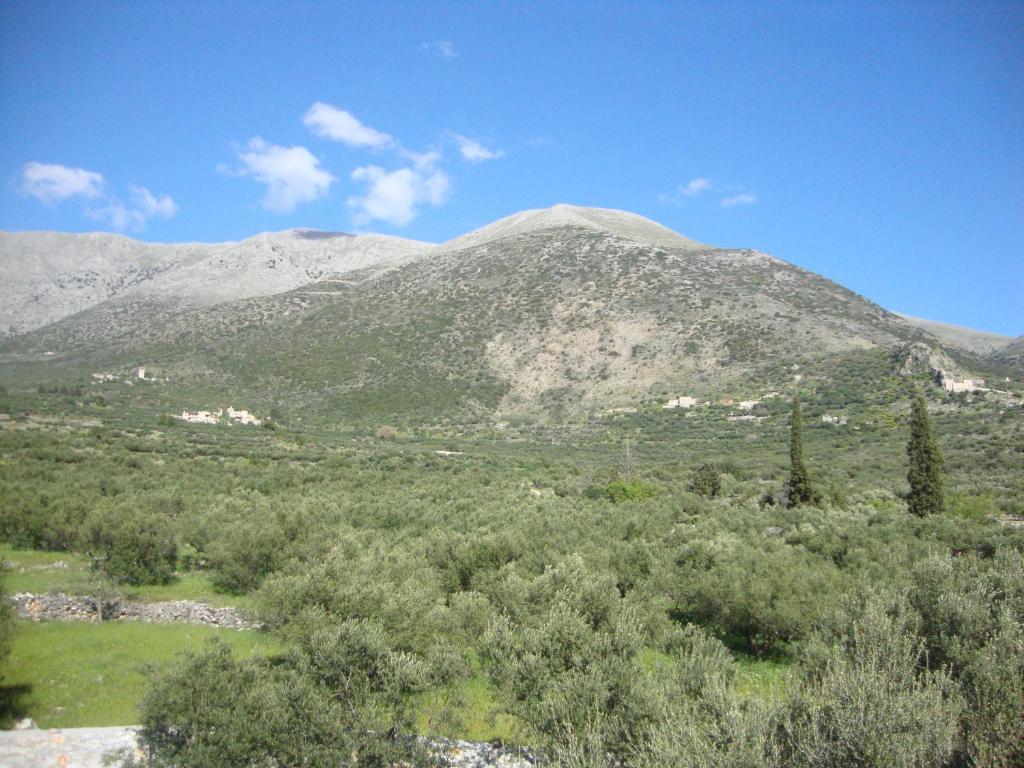 Pírgos Dhiroú Kafiona Guesthouse מראה חיצוני תמונה